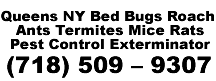 Queens NY Bedbugs Roach Ants Termites Mice Rats Pest Control Exterminator